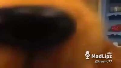 EL ADMIN HUELE A PUTO