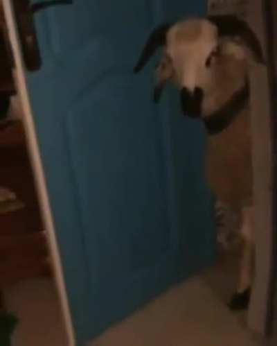 That's a little early for that