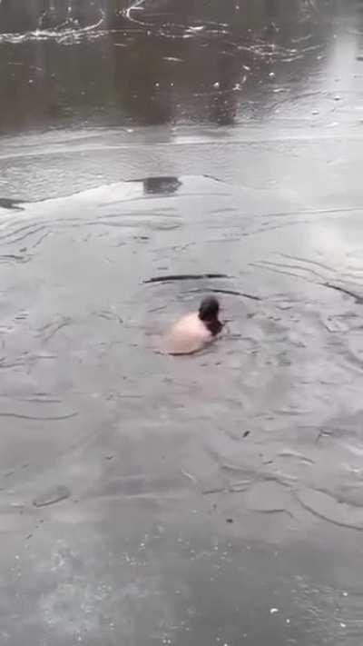HMB while I skate on thin ice