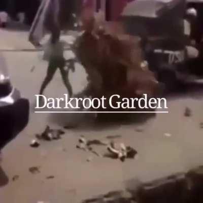 I love this video so much