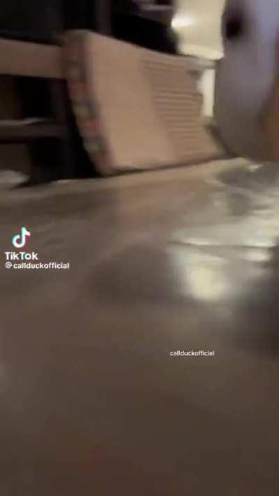 DiNOsAUr kILls pOoR CaMerA mAN