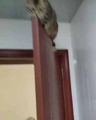 Удобно устроился