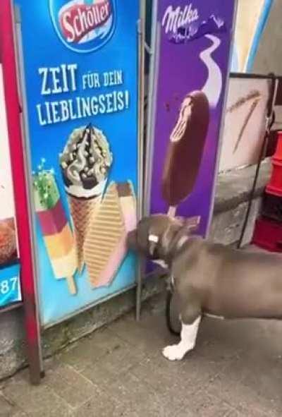 Somebody please feed this dude...