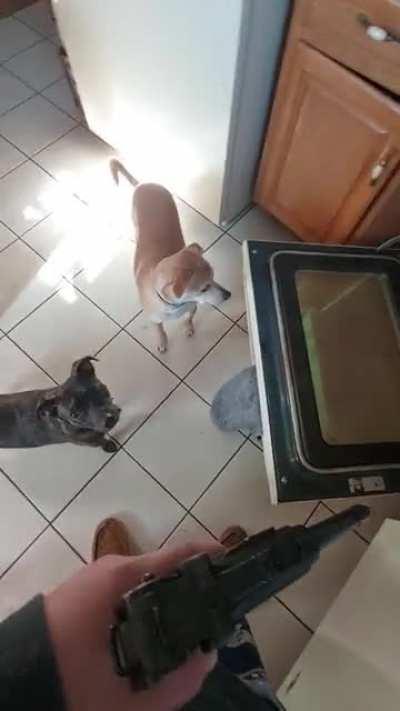 If you don't teach the next generation about history, it's bound to repeat itself