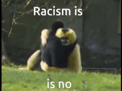 Does Niko approve this message