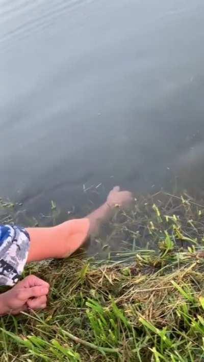 With only the force, a meal is captured. Found the hillbilly Jedi!