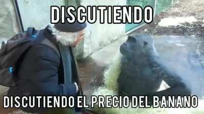 Muy caro? O muy barato? 🤔