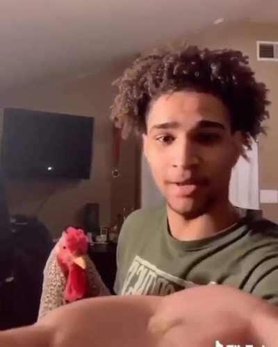 Feeding a lemon to Pepper the Chicken