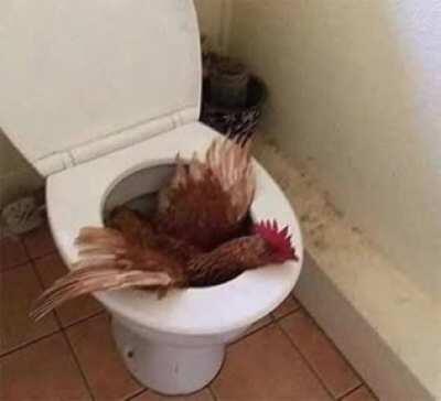 Touhou Toilets #32 (the original)