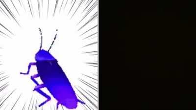 Spinny time my doods