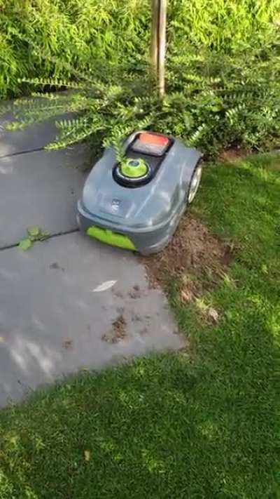 Everyone: AI will take over the world! AI: