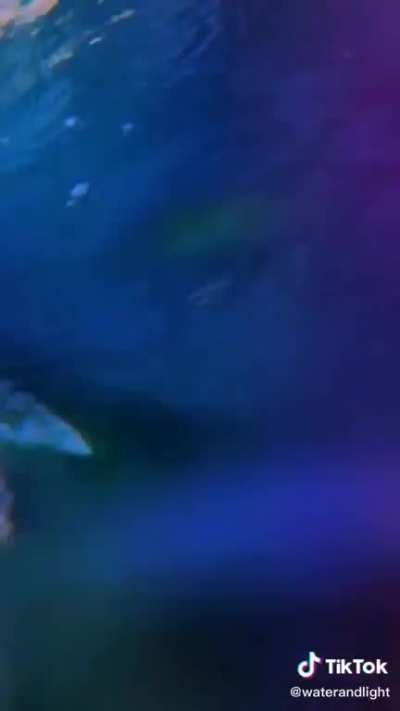 That be some satisfying water tho