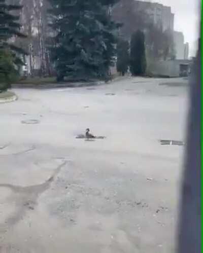 Momma dies inside. Babies die outside