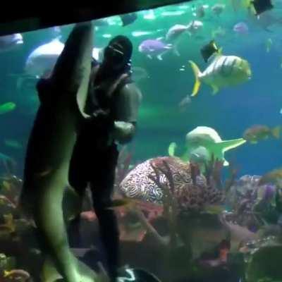 Dude dancing with shark