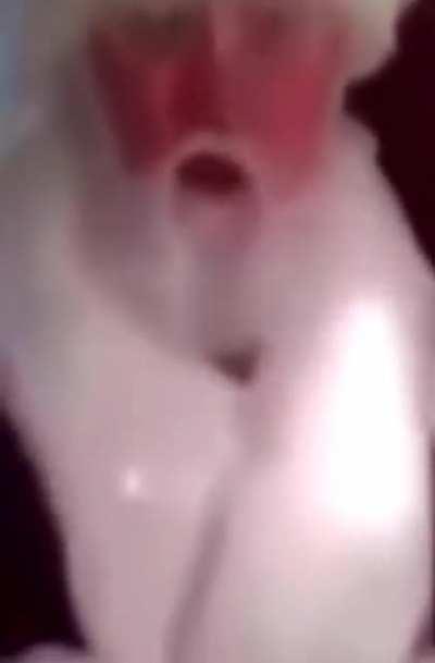 Hav you been a gud boi?