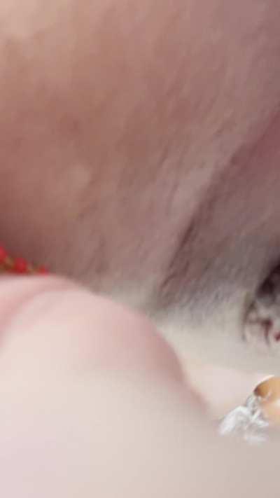 I'm ready for summer 🥰