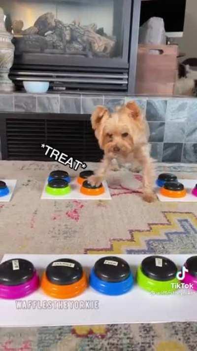 (Not OC) Asking nice first, or get attitude next.