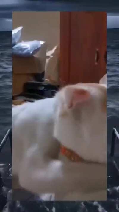 BAT MALONGKOT ANG BESHY KO???????????