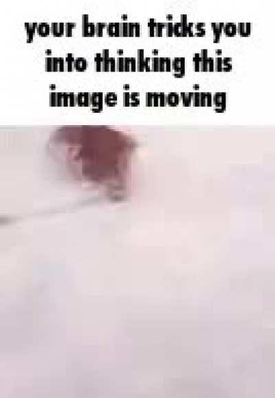 This rule is a dubious illusion (kinda sus)