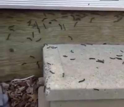 [crosspost] disappointed by the AAAAAAAAAAAAAAAAAA