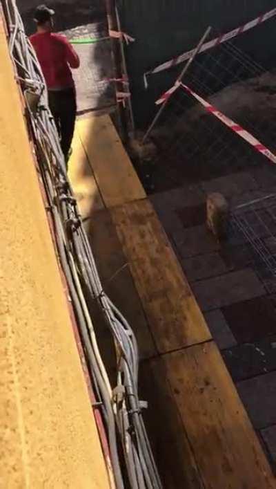 Os presento una JOYA desconocida que paso en mi ciudad