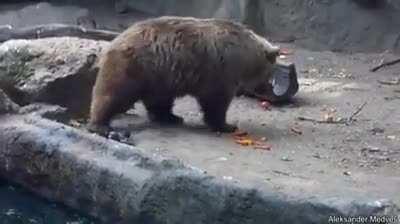 In a world where you can be anything be kind.