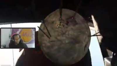 Yo what skins is this?! Sick af