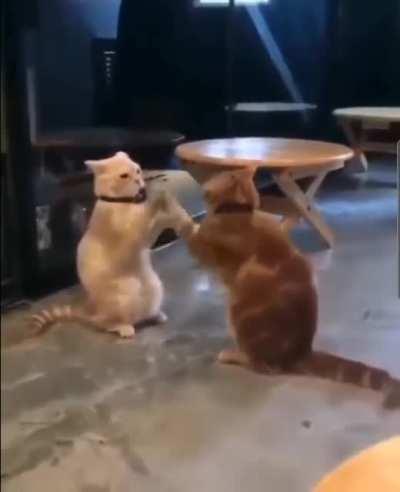 God damn it...the rhythm was ruined :(