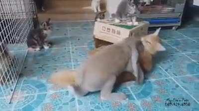 Отношения: всё сложно