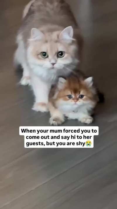 This is so relatable and funny at the same time!!!