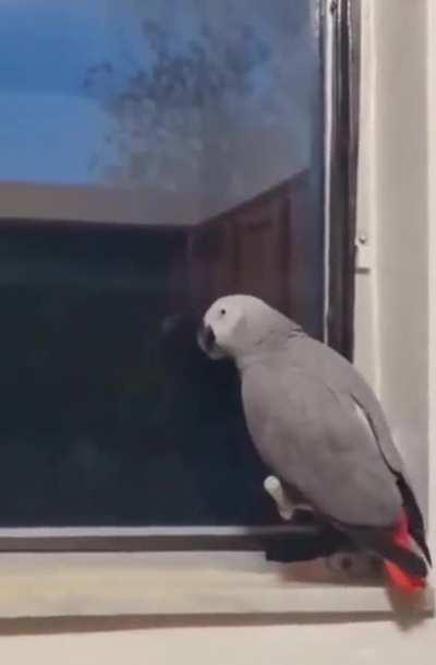 You need to be put on time out, young man! 😂