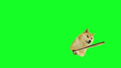 Le watch yo jet has arrived