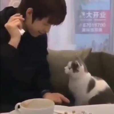 “Where the hell?”