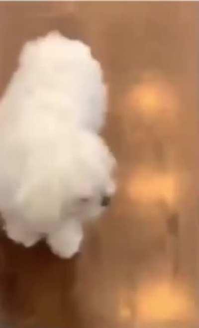 Eu so percebi agora que não existe vácuo