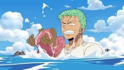 Underrated relationship in the crew. Zoro and Chopper brother moment