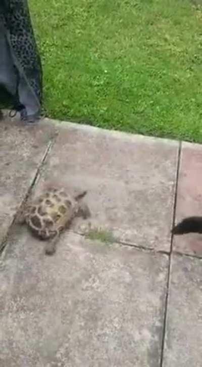 An Unexpected Journey.