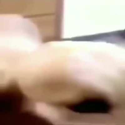 la pc del cristian cuando llegue