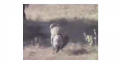 Run, Shadowfax. Show us the meaning of haste