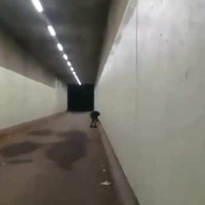 The guy is fine. I think.