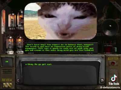 Fallout kitty 