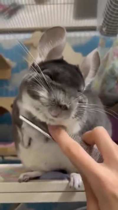 Clearly, he hates this.