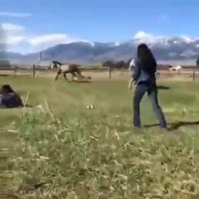 HMC While ride my Unicorn & Pop Champagne