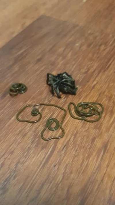 Killed One Spider, Left for 5 Minutes And Came Back To This...