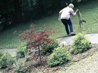 Dad..Why do you always carry a gun at our farm?