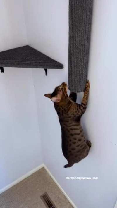 Заказчик одобряет