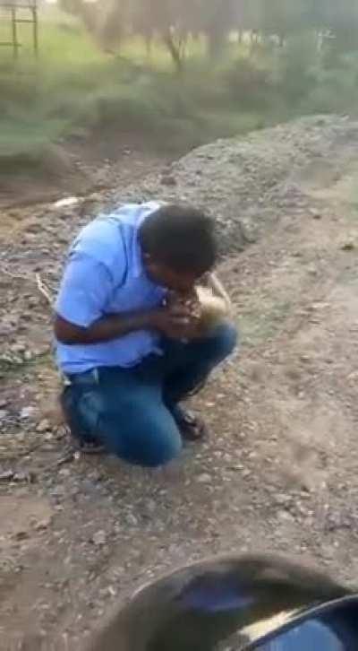 A man from TN India saves an injured monkey by doing CPR