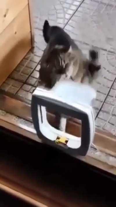 😾😡!!!...🙄???