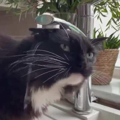 Not exactly how that works