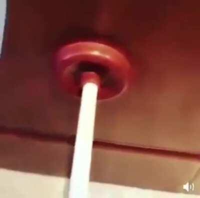 How to unclog a toilet