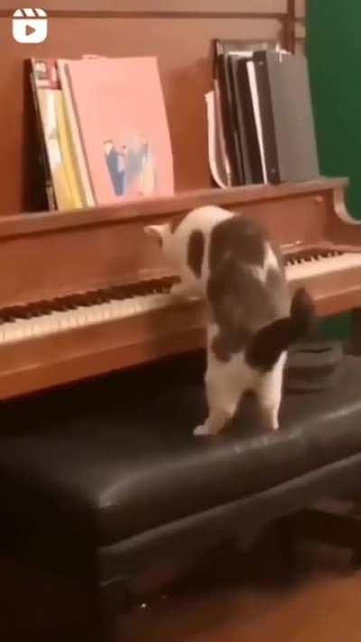 To play the piano ®️